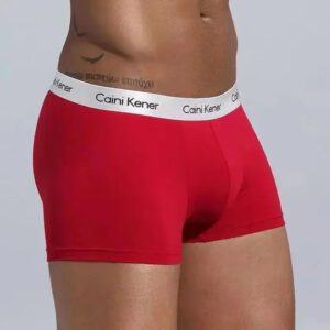 5Pcs Mens shorts breathable soft solid color boxers briefs14