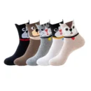 5 Pairs Cats