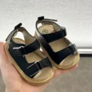 C-800BLACK