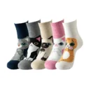 5 Pairs kitty